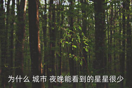 為什么 城市 夜晚能看到的星星很少