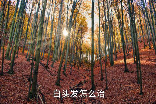 怎樣治白頭發(fā),【白頭發(fā)如何預(yù)防和治療?