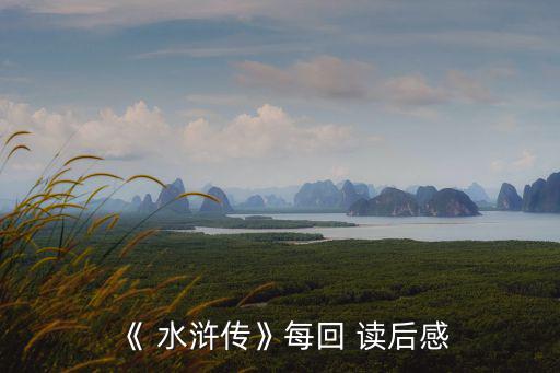 水滸傳第一回讀后感,讀中國古典小說有何感想?