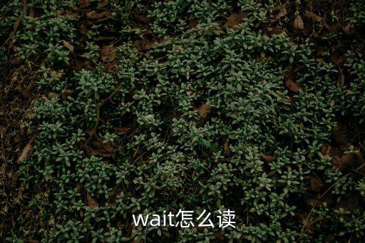 wait過去式,精選新加坡四大新元素