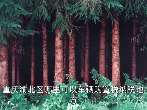 重慶渝北區(qū)哪里可以車輛購(gòu)置稅納稅地方