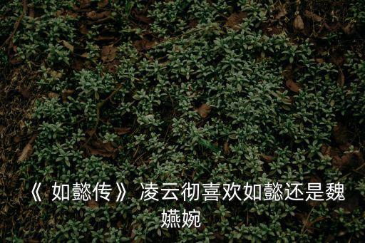 《 如懿傳》 凌云徹喜歡如懿還是魏嬿婉