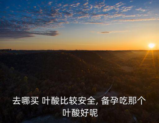 去哪買 葉酸比較安全, 備孕吃那個 葉酸好呢