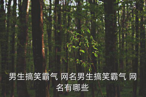 男生搞笑霸氣 網名男生搞笑霸氣 網名有哪些