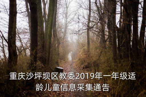 重慶沙坪壩區教委2019年一年級適齡兒童信息采集通告