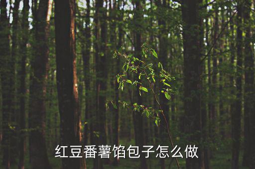 紅薯包子的做法，紅豆番薯餡包子怎么做