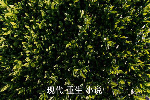 現代重生小說,重生三國中第一部:重生她不被看好