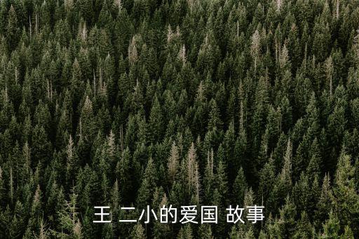 王 二小的愛國 故事
