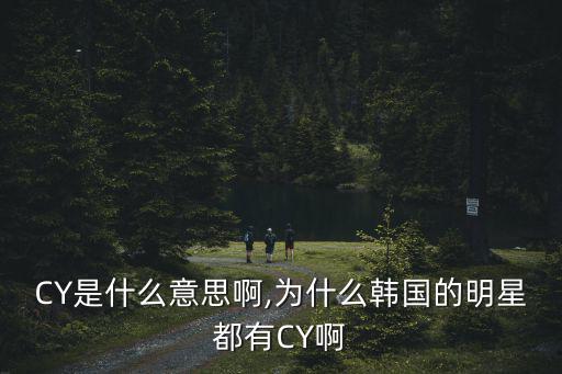 cy是什么意思,網(wǎng)絡(luò)術(shù)語cy是什么意思?