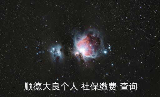  順德大良個人 社保繳費 查詢
