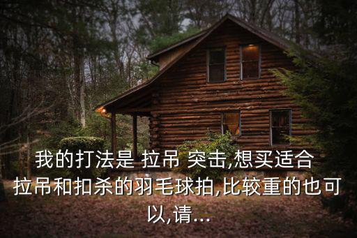 我的打法是 拉吊 突擊,想買適合 拉吊和扣殺的羽毛球拍,比較重的也可以,請...
