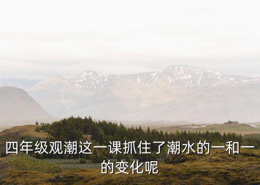 四年級觀潮這一課抓住了潮水的一和一的變化呢