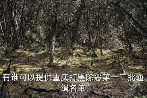 有誰可以提供重慶打黑除惡第一二批通緝名單