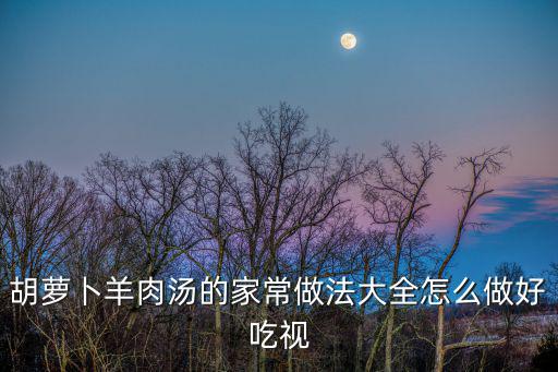 胡蘿卜羊肉湯的家常做法大全怎么做好吃視