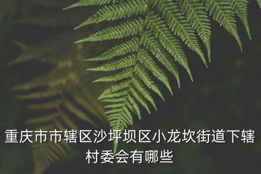 重慶市市轄區沙坪壩區小龍坎街道下轄村委會有哪些