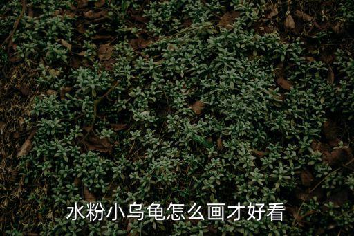 水粉小烏龜怎么畫才好看