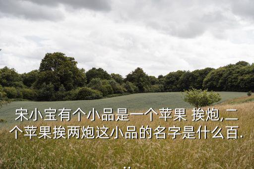 宋小寶有個小品是一個蘋果 挨炮,二個蘋果挨兩炮這小品的名字是什么百...