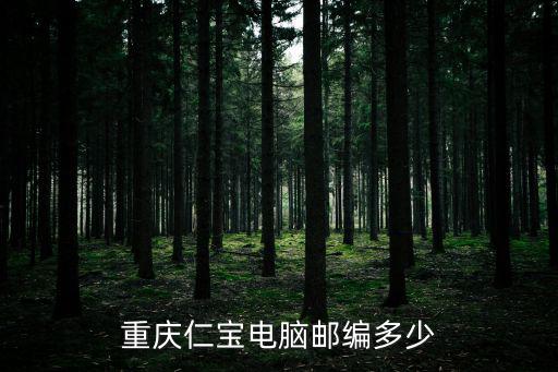 重慶仁寶電腦郵編多少