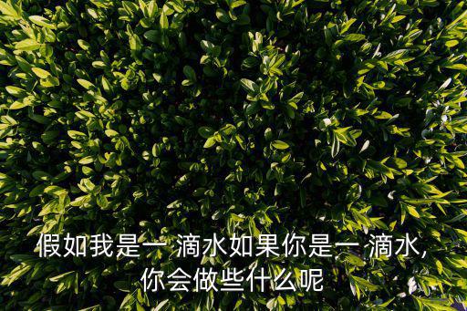 如果我是一滴水,如果我是a滴水，我愿意成為自來水一份子