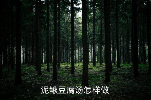 泥鰍豆腐湯怎樣做