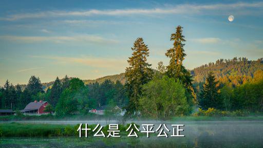 什么是 公平公正