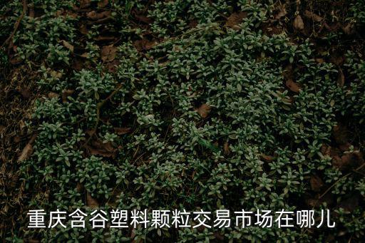 重慶含谷塑料顆粒交易市場在哪兒