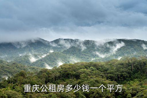 重慶公租房多少錢一個平方
