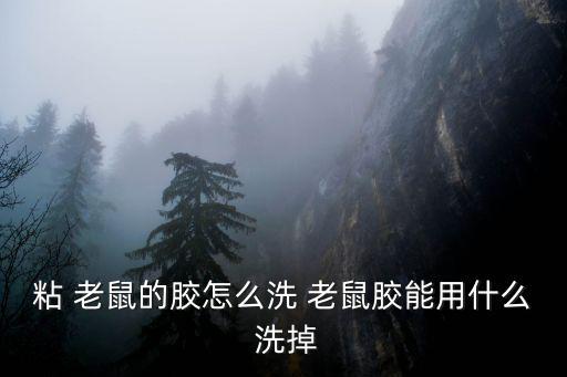 粘 老鼠的膠怎么洗 老鼠膠能用什么 洗掉