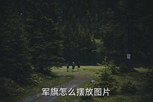 棋子圖片,中國(guó)軍棋布局:25名棋手可在棋盤(pán)上任何地方布局