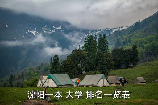 沈陽一本 大學 排名一覽表
