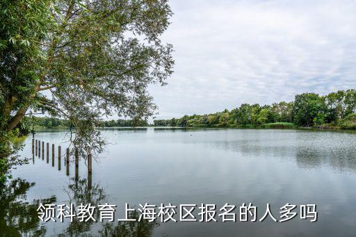 領科教育上海校區報名的人多嗎