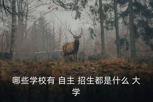 哪些學校有 自主 招生都是什么 大學
