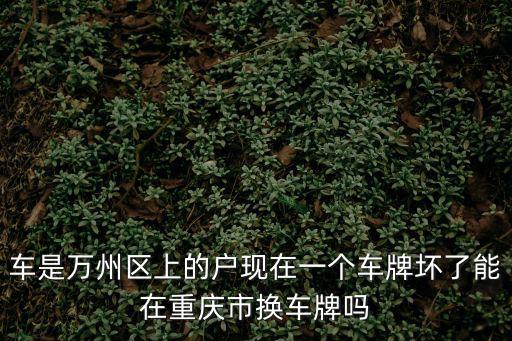 車是萬(wàn)州區(qū)上的戶現(xiàn)在一個(gè)車牌壞了能在重慶市換車牌嗎