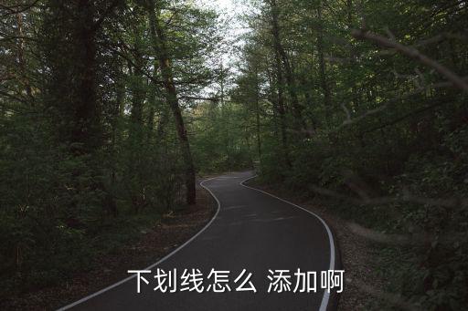  下劃線怎么 添加啊