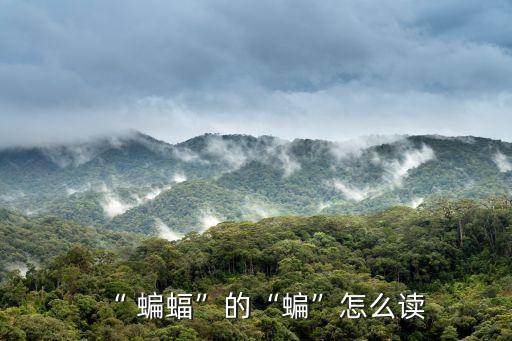 蝙蝠英語怎么讀,一只蝙蝠掉在地上被老鼠和狼抓住了