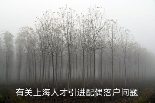 上海人才引進配偶可以落戶嗎，上海人才引進配偶能隨遷嗎