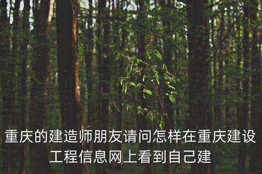 重慶的建造師朋友請(qǐng)問怎樣在重慶建設(shè)工程信息網(wǎng)上看到自己建