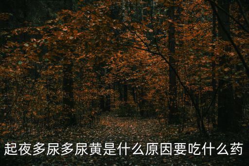 起夜多尿多尿黃是什么原因要吃什么藥