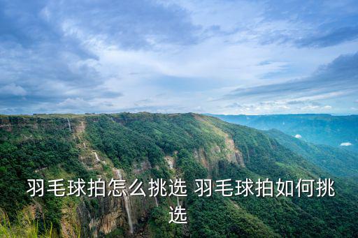  羽毛球拍怎么挑選 羽毛球拍如何挑選