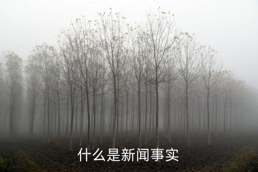 新聞事實，最近有什么實事新聞