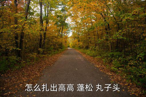 怎么扎出高高 蓬松 丸子頭