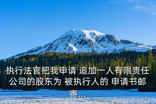 追加被執(zhí)行人申請(qǐng)書