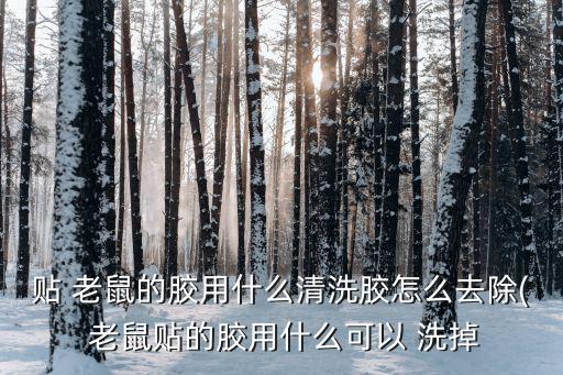 貼 老鼠的膠用什么清洗膠怎么去除( 老鼠貼的膠用什么可以 洗掉