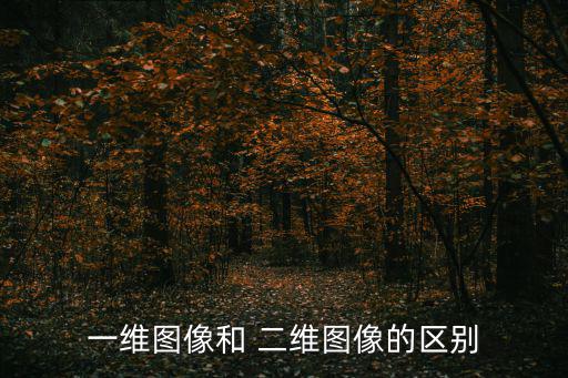 一維圖像和 二維圖像的區(qū)別