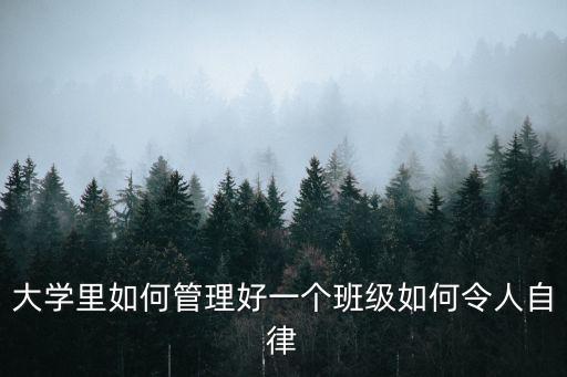 大學里如何管理好一個班級如何令人自律