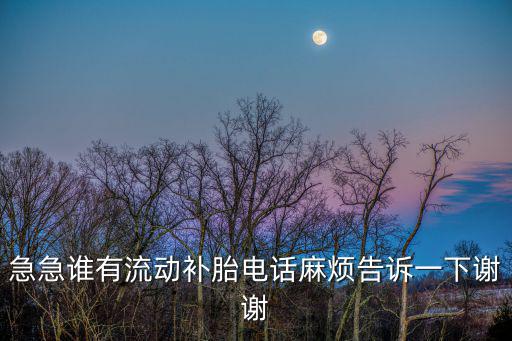 急急誰有流動補胎電話麻煩告訴一下謝謝