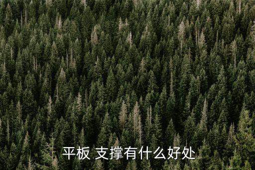  平板 支撐有什么好處