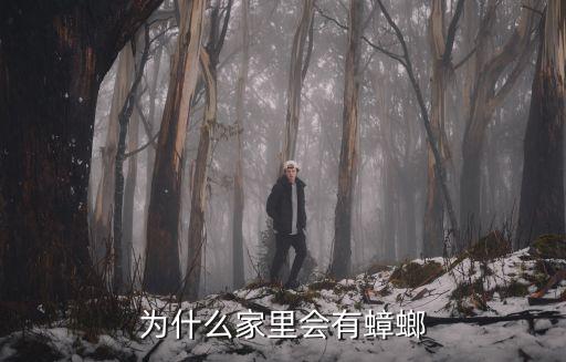 為什么家里會有蟑螂