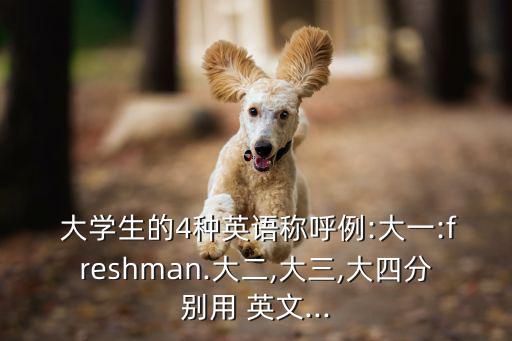 大學生英文,大學生1中文釋義（一）:大二大三