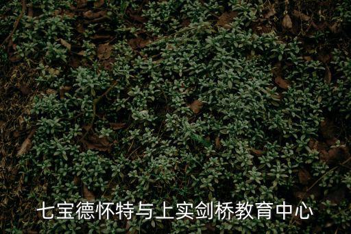 七寶德懷特與上實(shí)劍橋教育中心